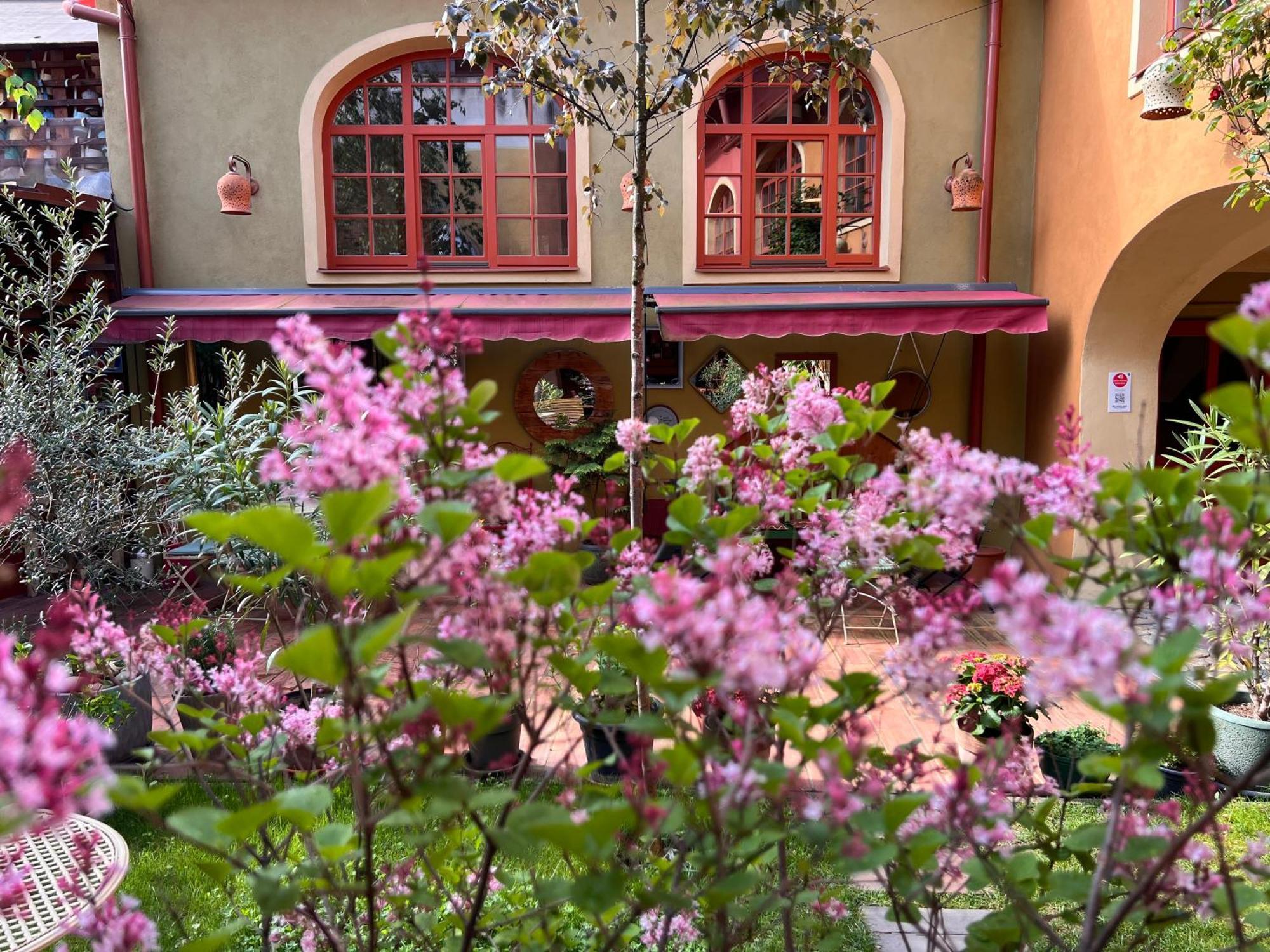 Muzikafe - Home Of Culture Ptuj Dış mekan fotoğraf